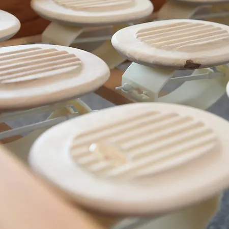 酒店 Akzent Altes Casino 彼得堡