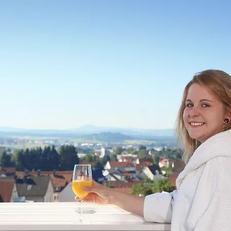 酒店 Akzent Altes Casino 3*